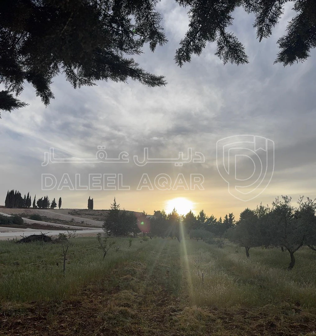 أرض في بلعاس - يبعد 6 دقائق عن طريق المطار - 159,900 دأ - صورة 1